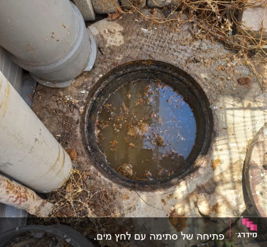 פתח ביוב עם מים עומדים ולכלוך מסביב